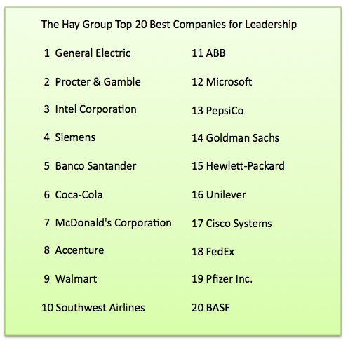 Hay Group top 20