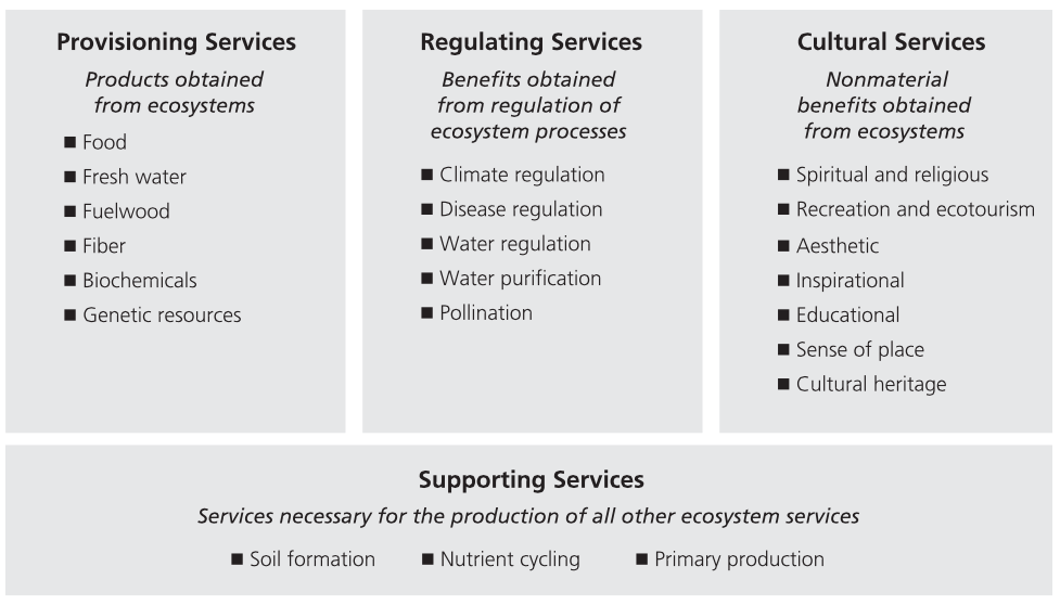 Screen Shot 2015-04-23 at 9.00.53 pm